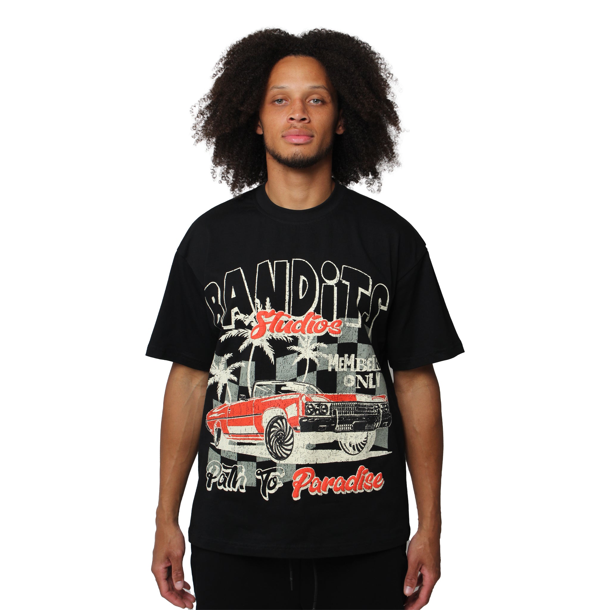 PATHTOPARADISETEE-BLACK-FRONT.jpg